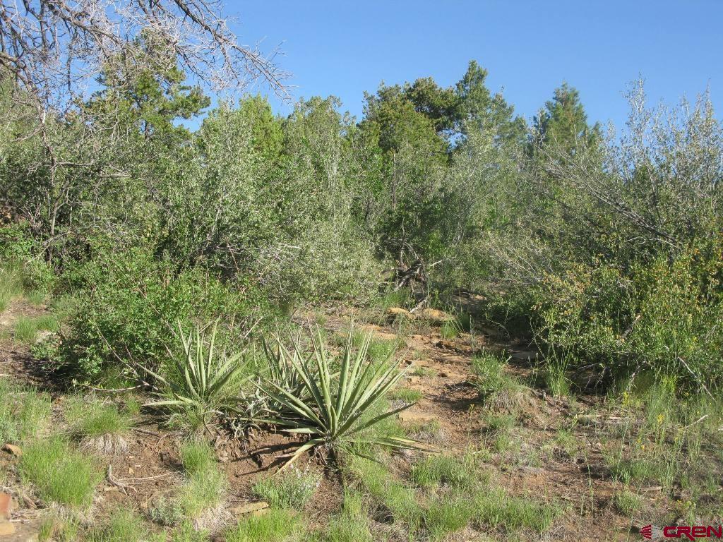 Tbd De Oro Way Hesperus, CO 81326 - Photo 7 of 13