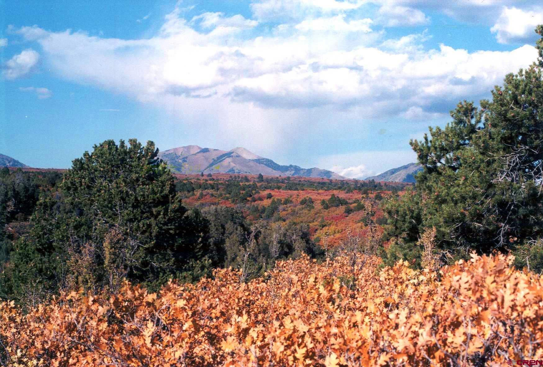 Tbd De Oro Way Hesperus, CO 81326 - Photo 8 of 13