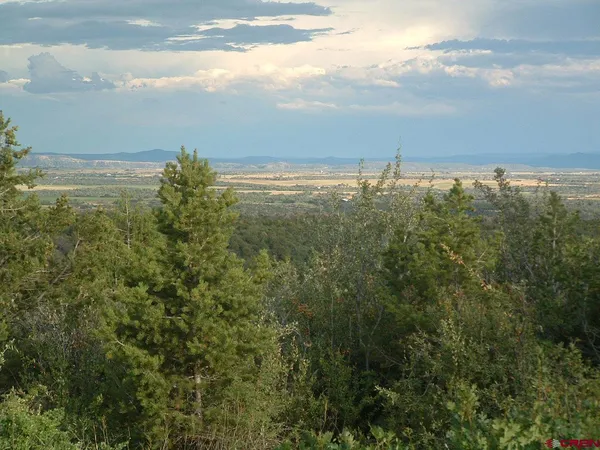 a view of a green field with lots of bushes