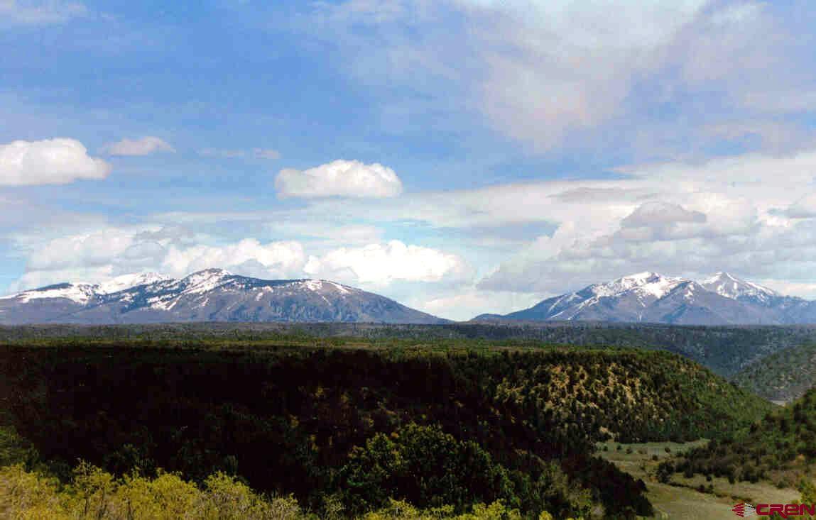 Tbd De Oro Way Hesperus, CO 81326 - Photo 9 of 13