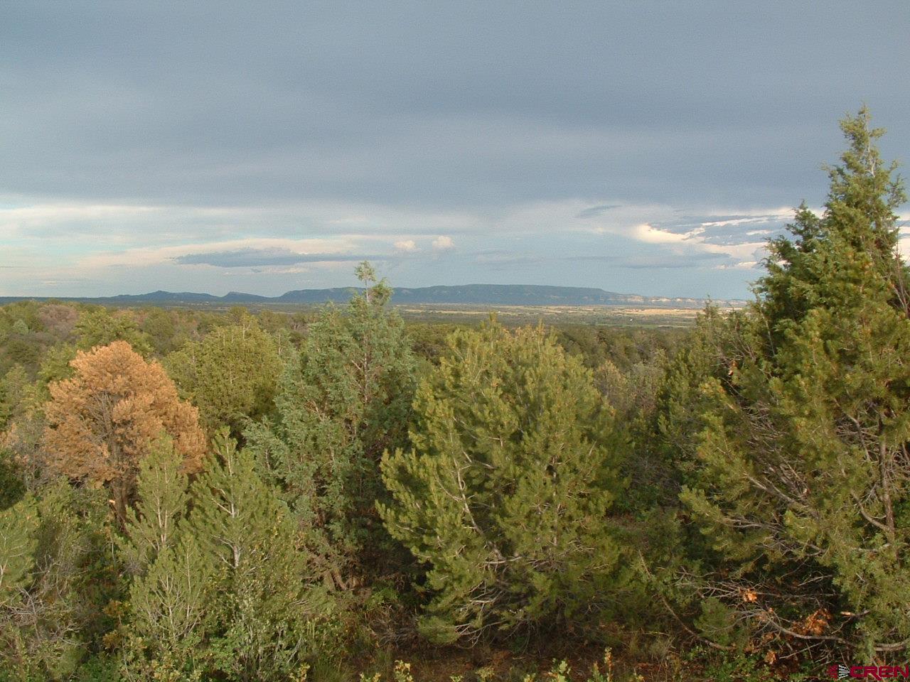 Tbd De Oro Way Hesperus, CO 81326 - Photo 10 of 13