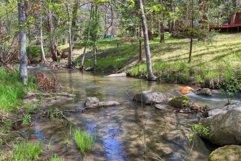 50537 Cedar Valley Drive Oakhurst, CA 93644 - Photo 2 of 59 a view of a lake with large trees