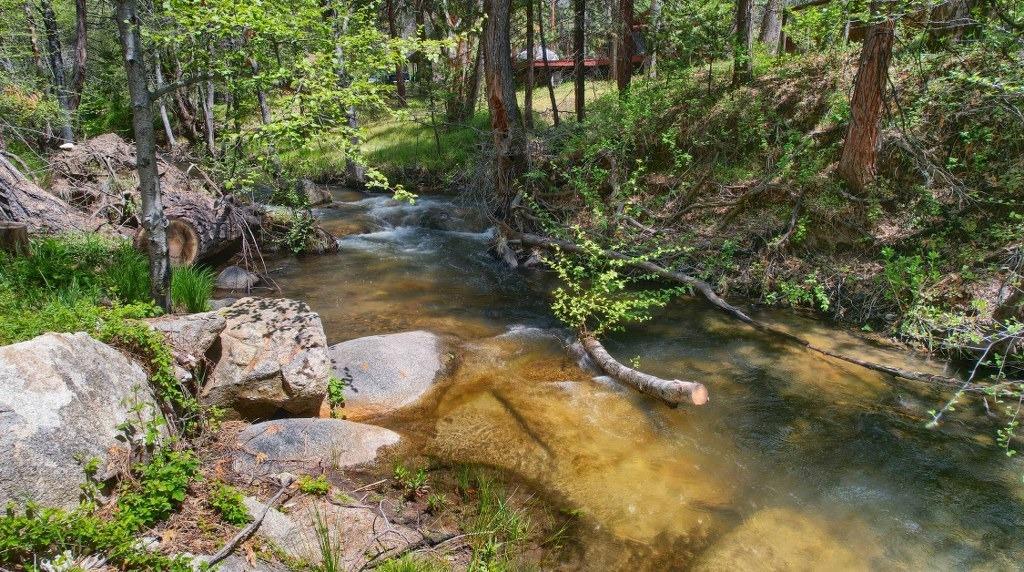 50537 Cedar Valley Drive Oakhurst, CA 93644 - Photo 45 of 59