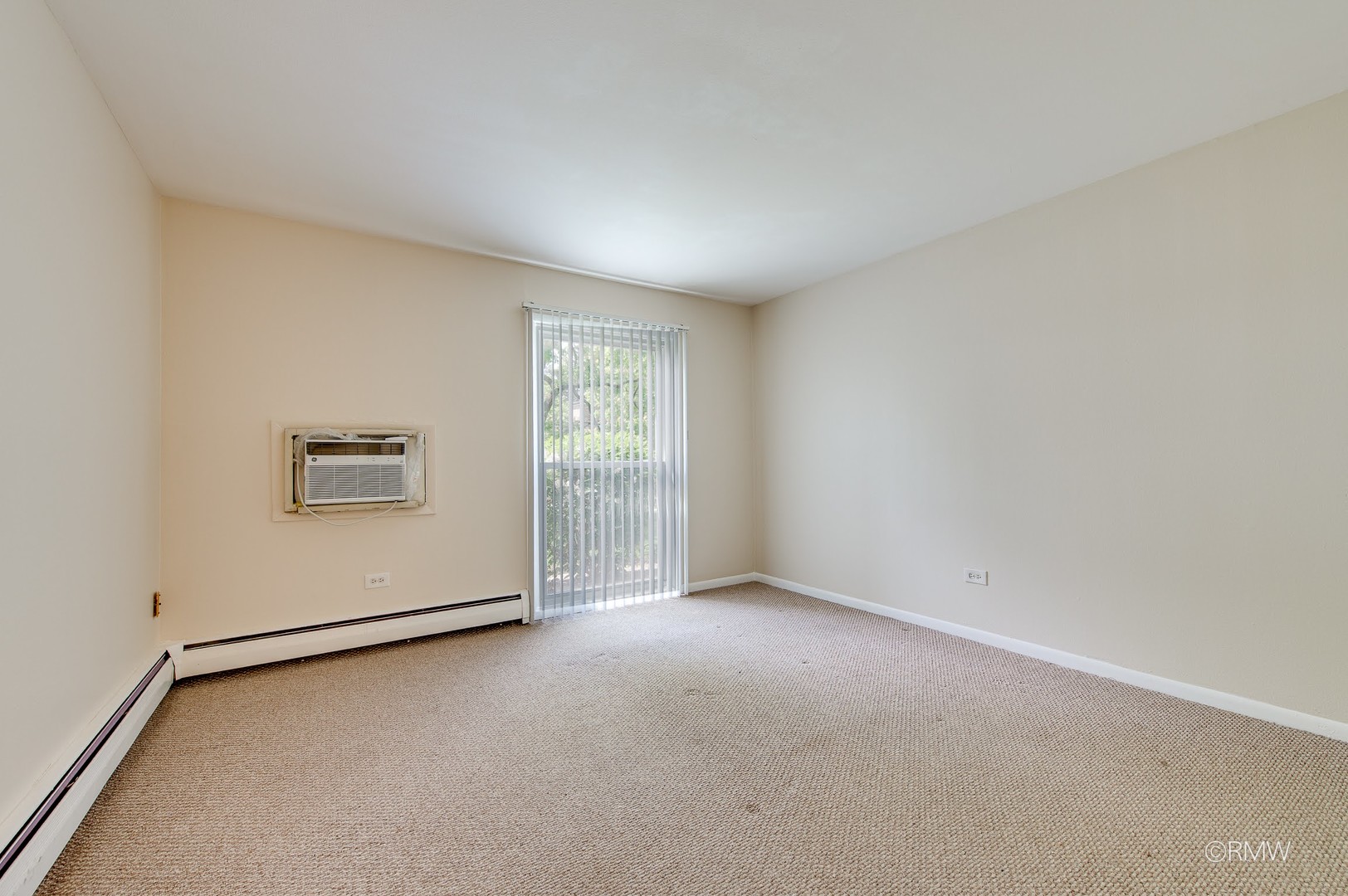 337 North Carter Street, Unit 101 Palatine, IL 60067 - Photo 10 of 18