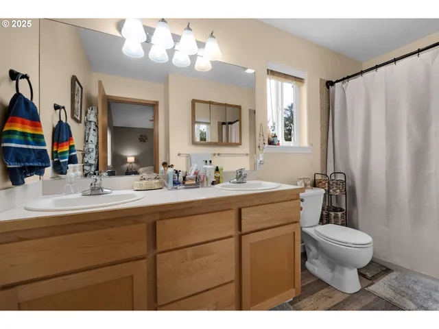 a bathroom with a double vanity sink mirror and toilet