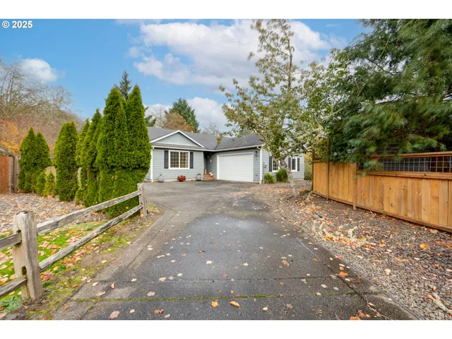 a view of a backyard with plants and large tree