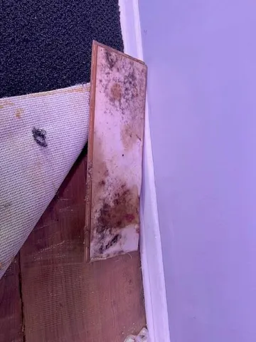 $150,000 | 234 East Moss Street, Lawson, MO 64062