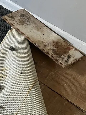 $150,000 | 234 East Moss Street, Lawson, MO 64062