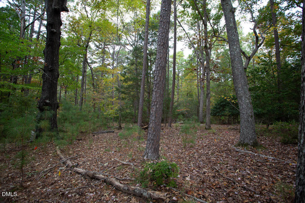 1921 Brassfield Road Raleigh, NC 27614 - Photo 10 of 28 332A9376