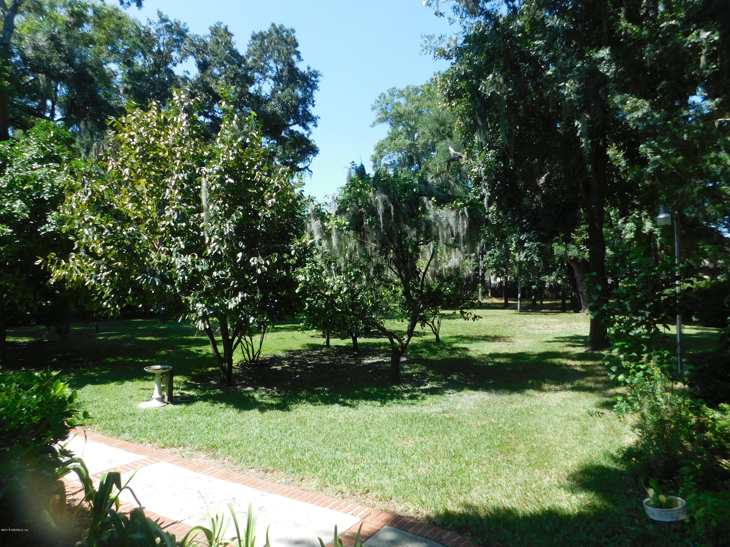 704 River Road Orange Park, FL 32073 - Photo 13 of 53 Huge yard w/ mature fruit trees