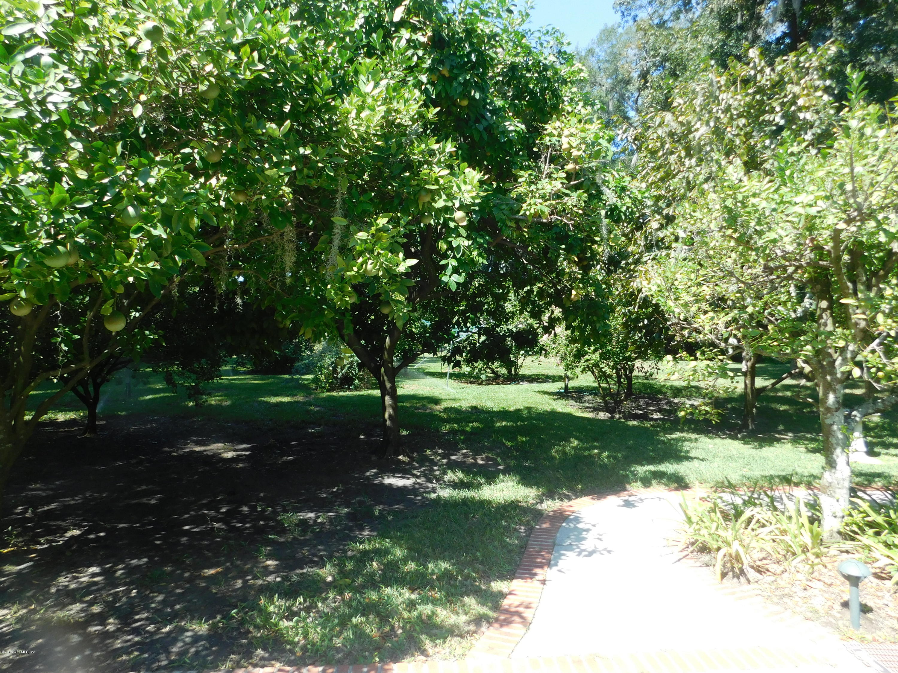 704 River Road Orange Park, FL 32073 - Photo 18 of 53 Back Yard