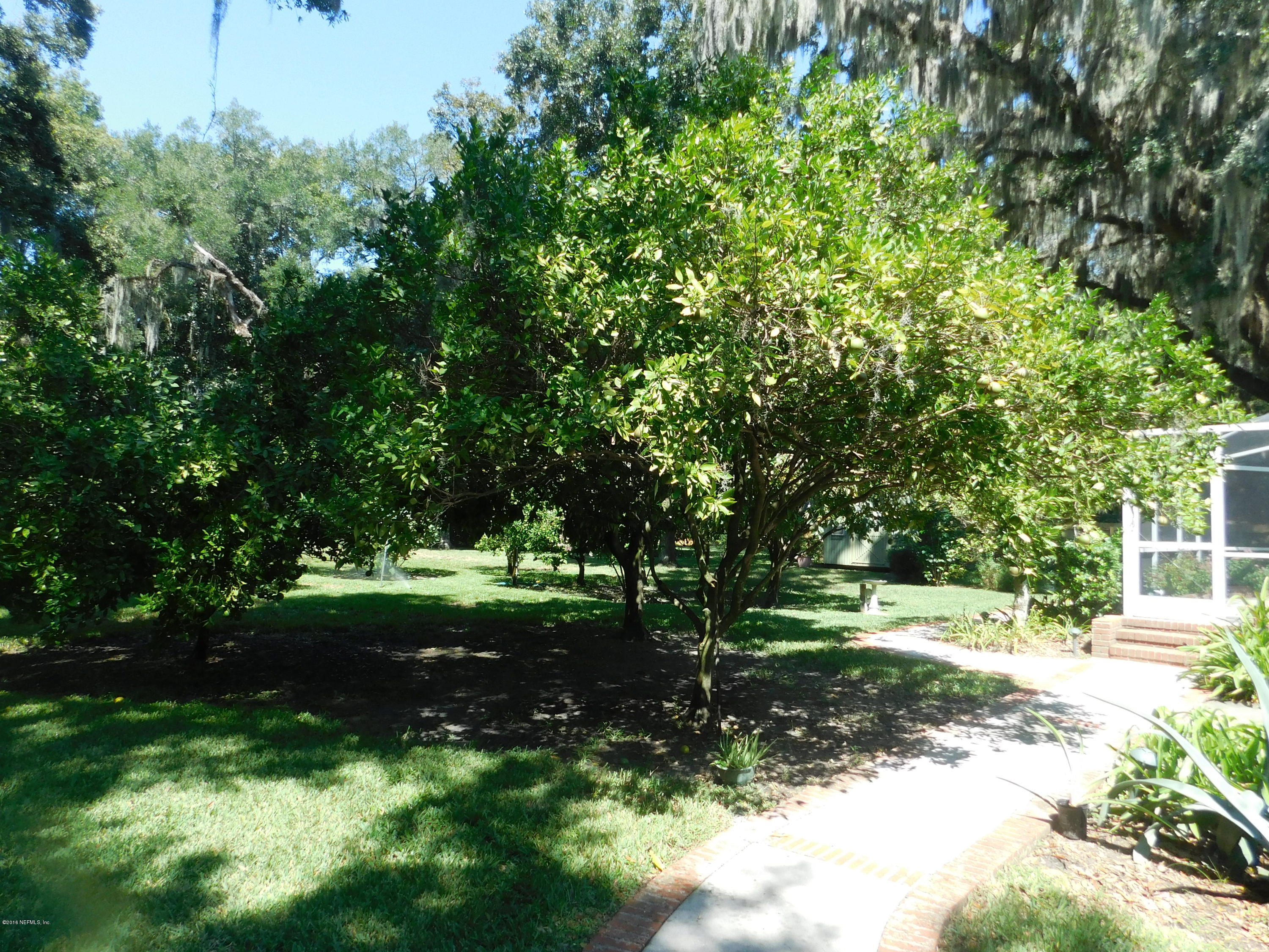 704 River Road Orange Park, FL 32073 - Photo 19 of 53 Back Yard w/ mature fruit trees