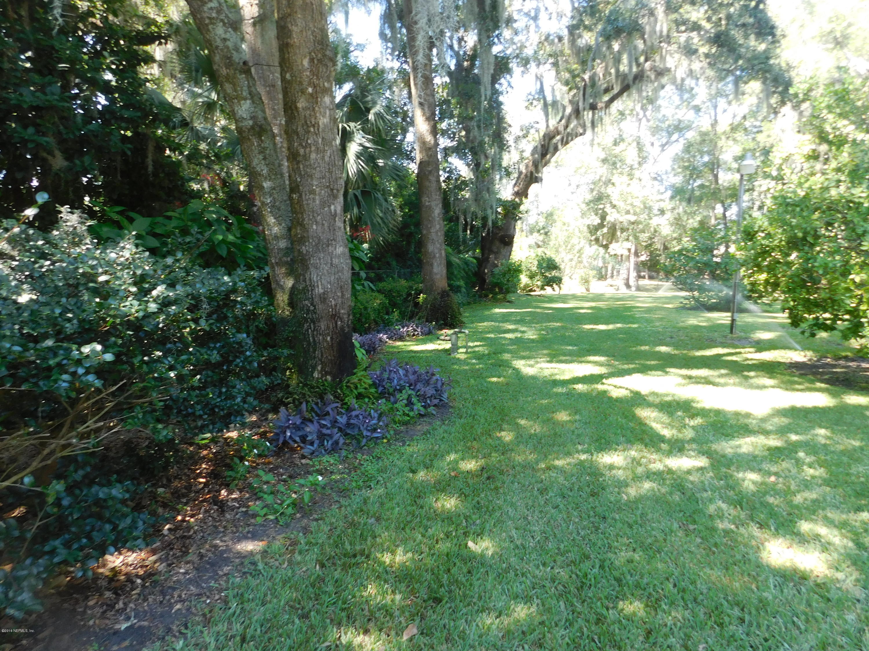 704 River Road Orange Park, FL 32073 - Photo 20 of 53 Landscaped rear yard