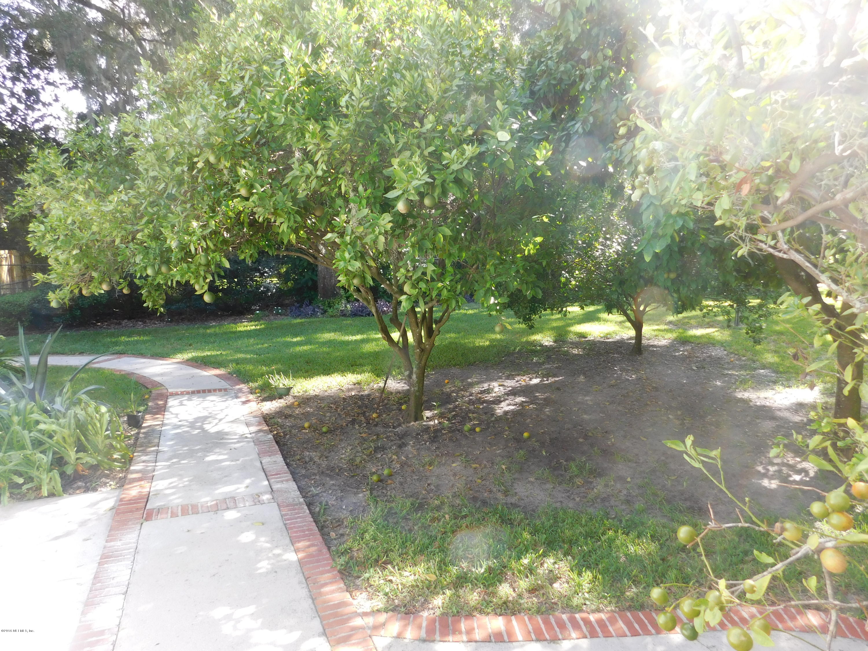 704 River Road Orange Park, FL 32073 - Photo 34 of 53 Every nook & cranny is maintained