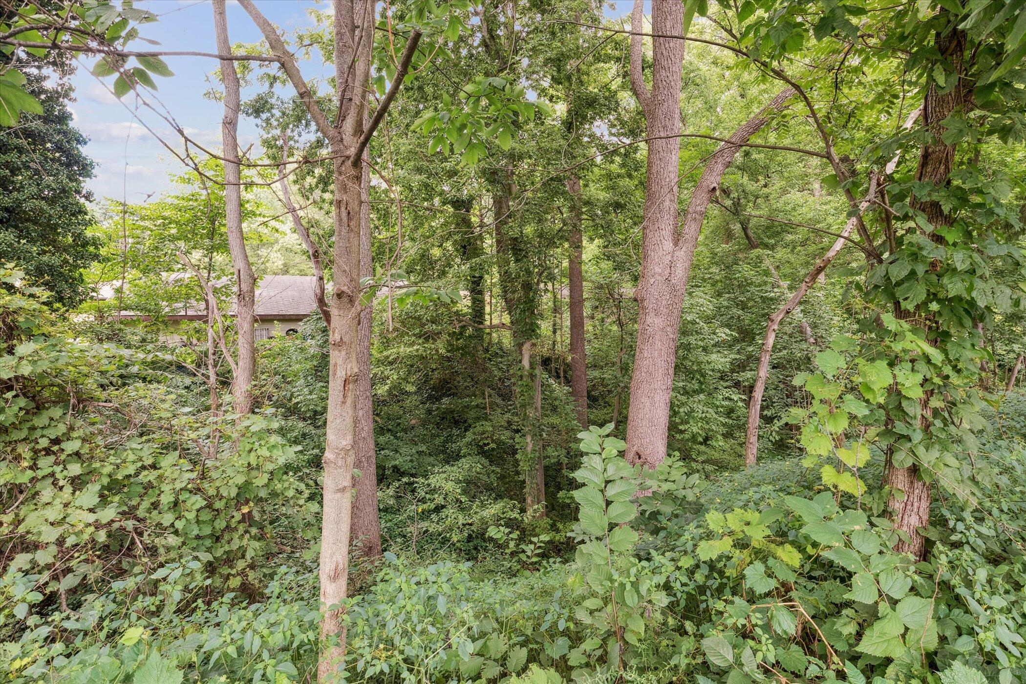 3423 Niles Road St. Joseph, MI 49085 - Photo 37 of 39 Ravine Setting