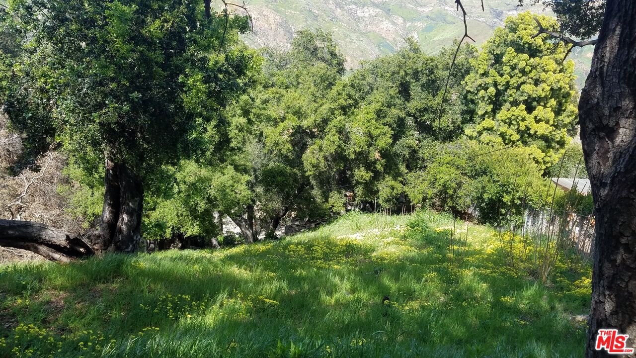 26247 Fairside Road Malibu, CA 90265 - Photo 4 of 6