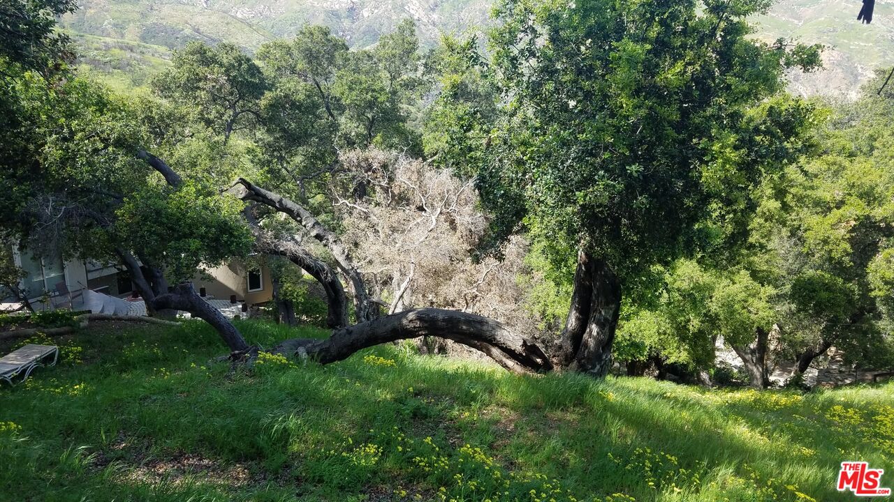 26247 Fairside Road Malibu, CA 90265 - Photo 6 of 6