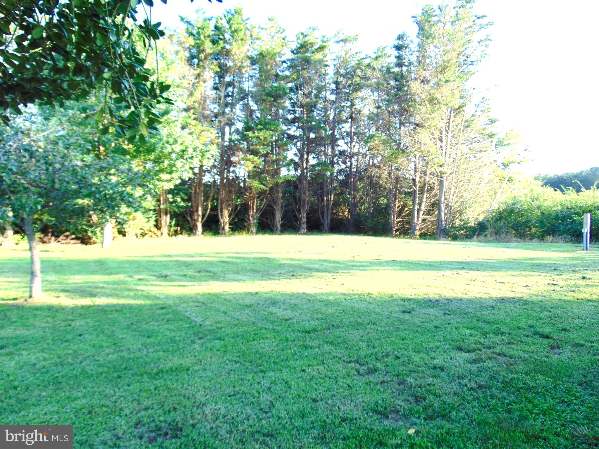 6182 Taylor Landing Road Girdletree, MD 21829 - Photo 3 of 54 Side yard