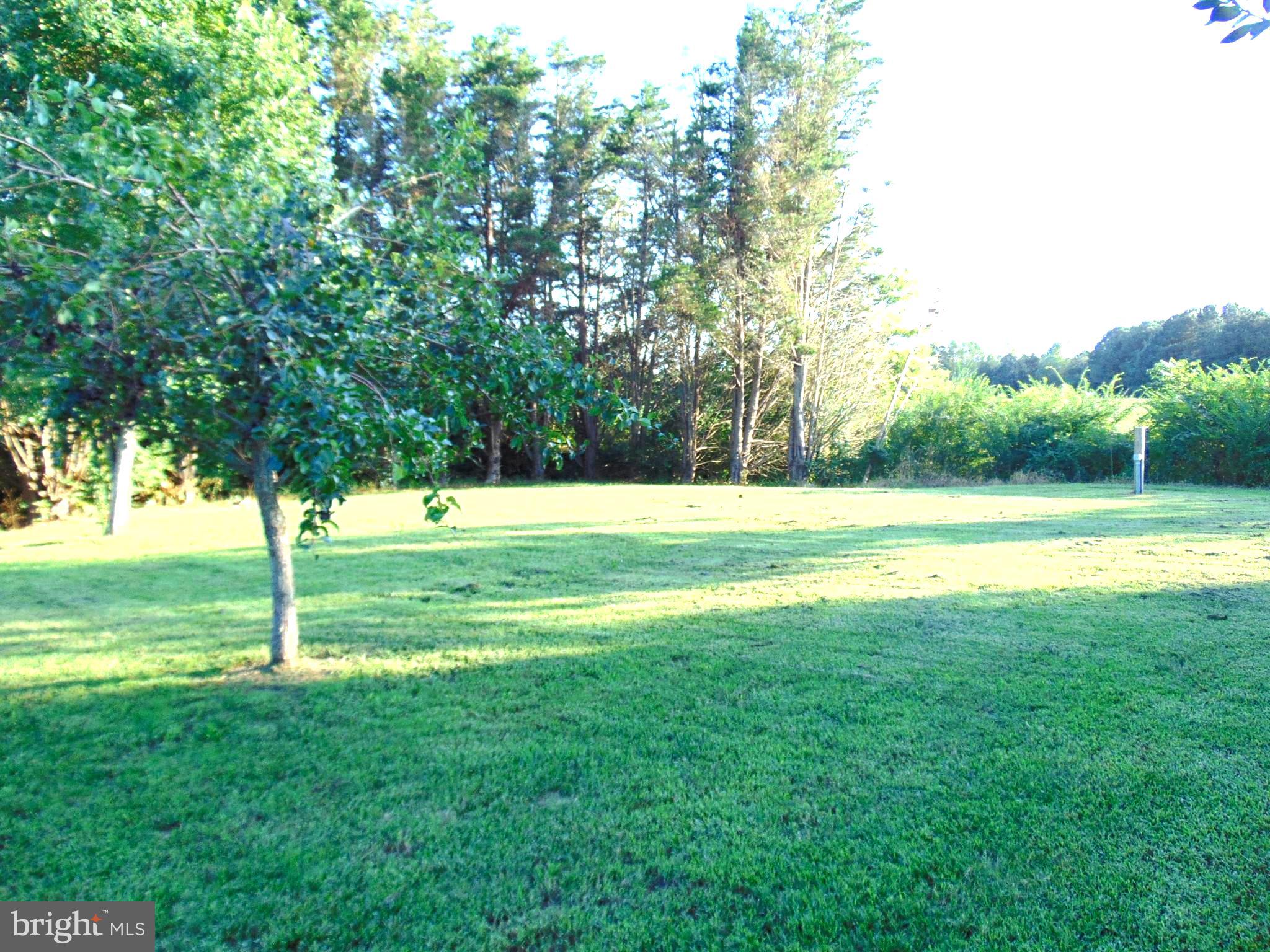 6182 Taylor Landing Road Girdletree, MD 21829 - Photo 4 of 54 Side yard