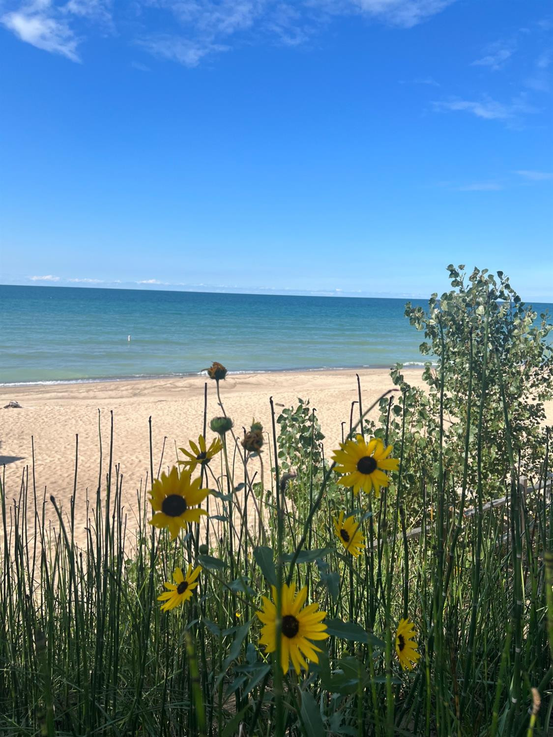 0 Sunset Trail Michigan City, IN 46360 - Photo 13 of 16 a view of a lake