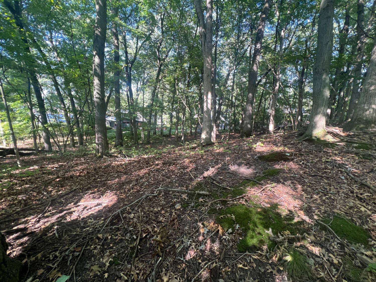 0 Sunset Trail Michigan City, IN 46360 - Photo 3 of 16 a view of outdoor space with trees