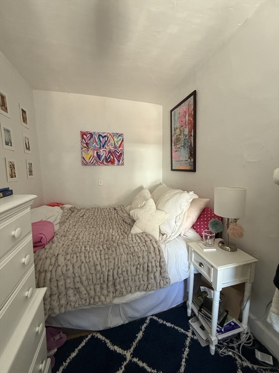 234 West Canton Street, Unit 3 Boston, MA 02116 - Photo 15 of 17