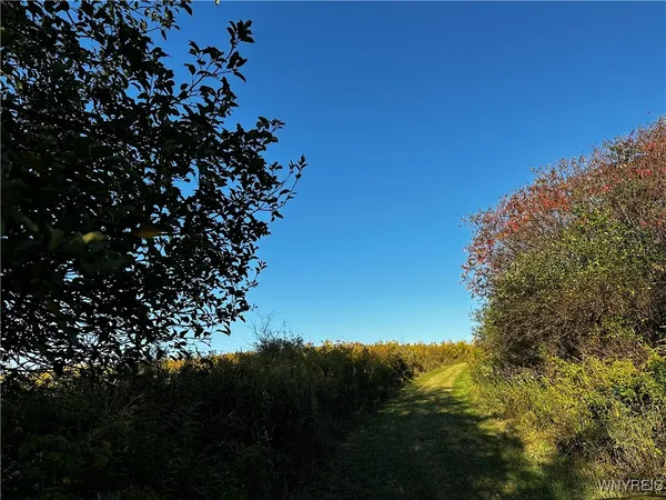 $100,000 | 9096 Highway 240, Ashford, NY 14171