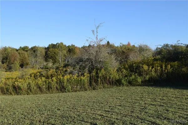 $100,000 | 9096 Highway 240, Ashford, NY 14171