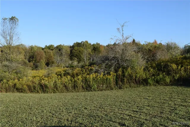 $100,000 | 9096 Highway 240, Ashford, NY 14171