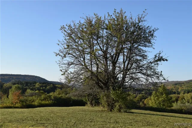 $100,000 | 9096 Highway 240, Ashford, NY 14171