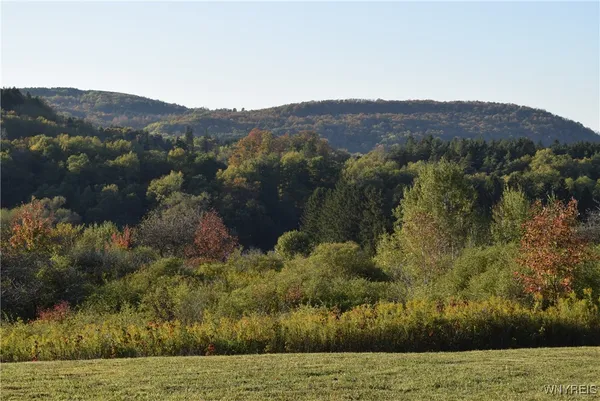 $100,000 | 9096 Highway 240, Ashford, NY 14171