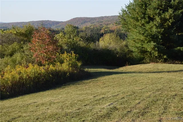 $100,000 | 9096 Highway 240, Ashford, NY 14171