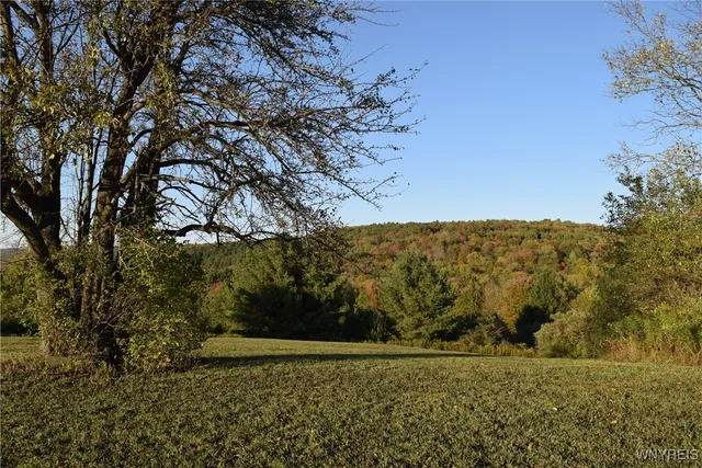 $100,000 | 9096 Highway 240, Ashford, NY 14171