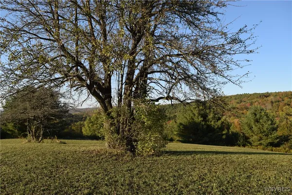 $100,000 | 9096 Highway 240, Ashford, NY 14171