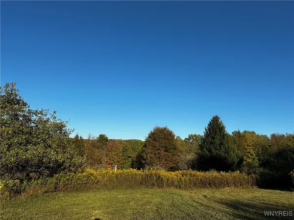 $100,000 | 9096 Highway 240, Ashford, NY 14171