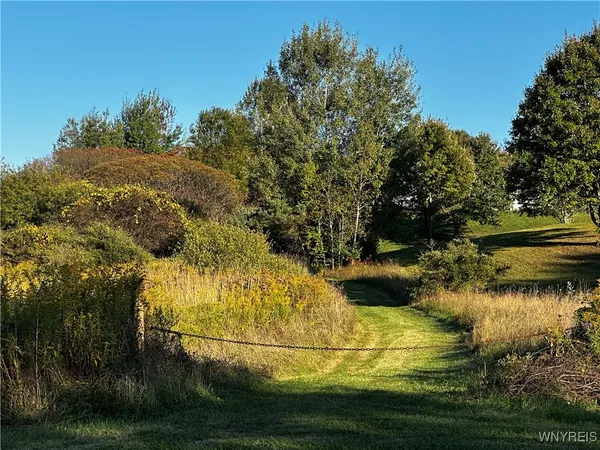 $100,000 | 9096 Highway 240, Ashford, NY 14171