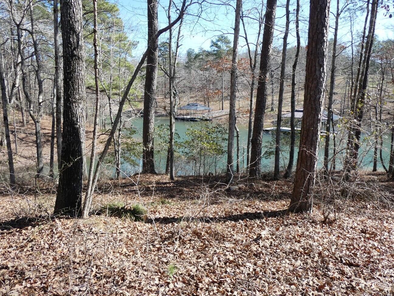 123 County Road Cullman, AL 35055 - Photo 9 of 19 Building area view 2