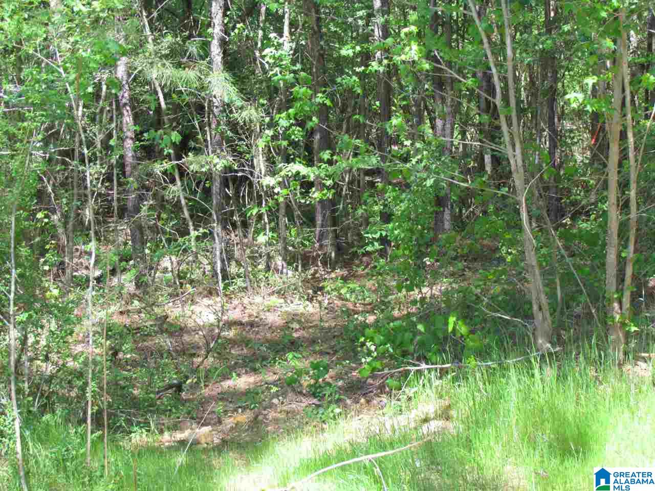 1605 Mountain Top Loop Road Pell City, AL 35128 - Photo 2 of 3