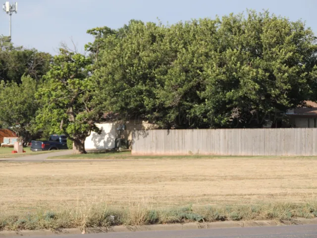 a view of small yard with a small yard and large trees