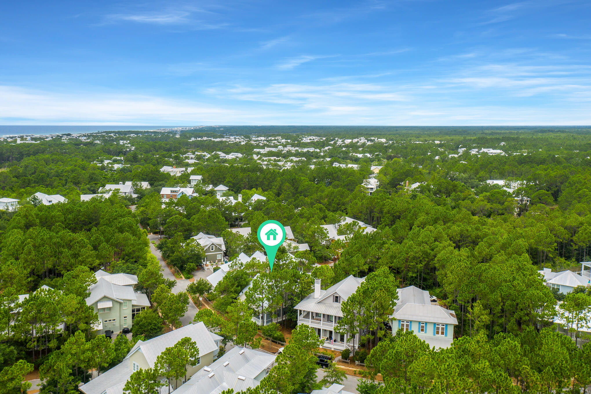 296 Pine Needle Way Santa Rosa Beach, FL 32459 - Photo 42 of 61 an aerial view of residential houses with outdoor space and trees