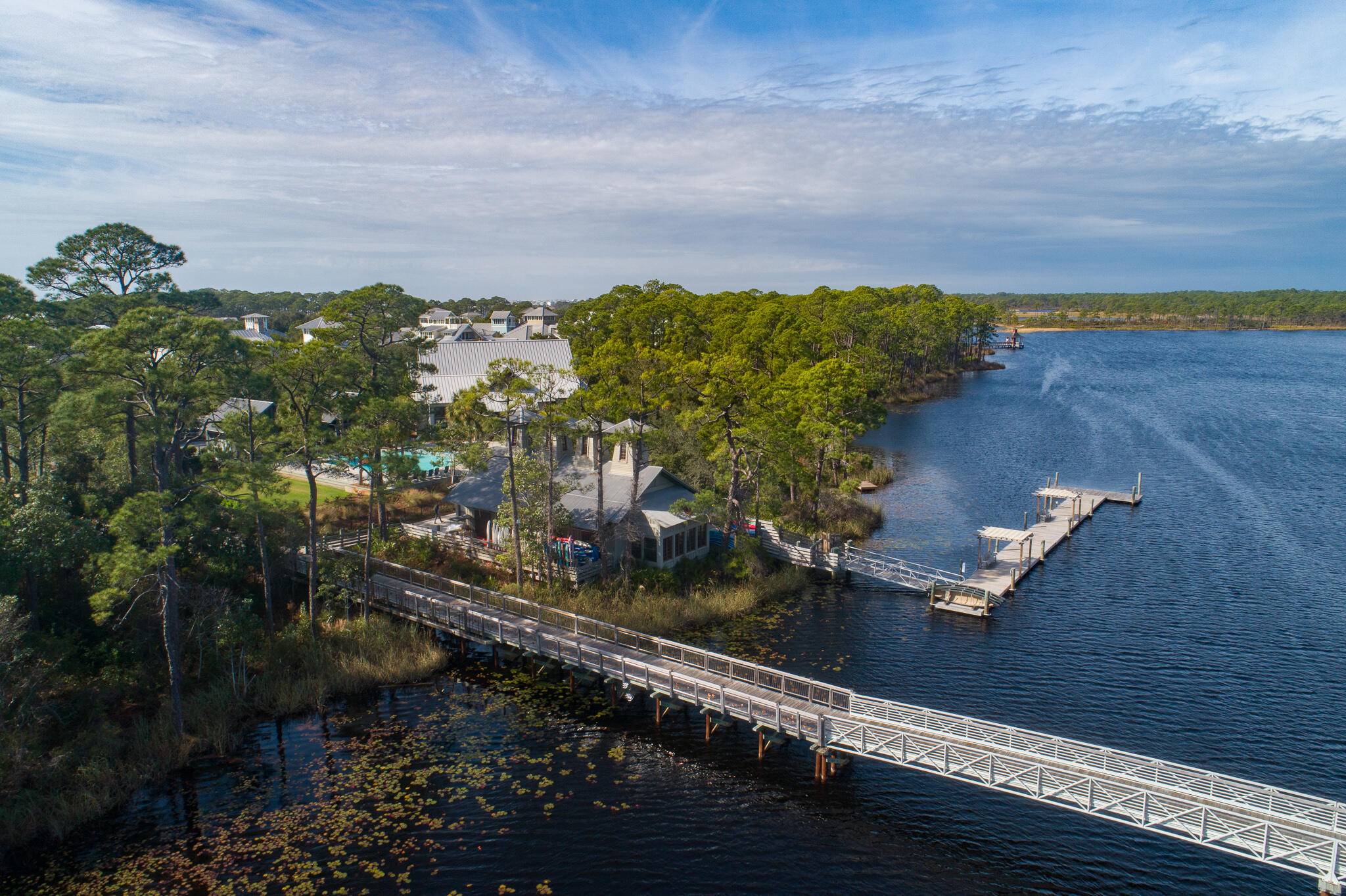 296 Pine Needle Way Santa Rosa Beach, FL 32459 - Photo 58 of 61