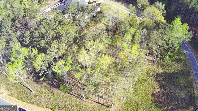 a close up of a plant