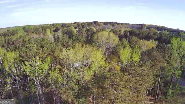 a view of a lush green forest with mountains in the background