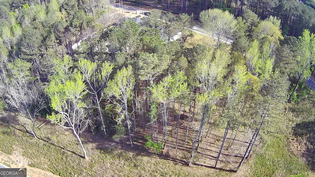 a view of a garden from a yard
