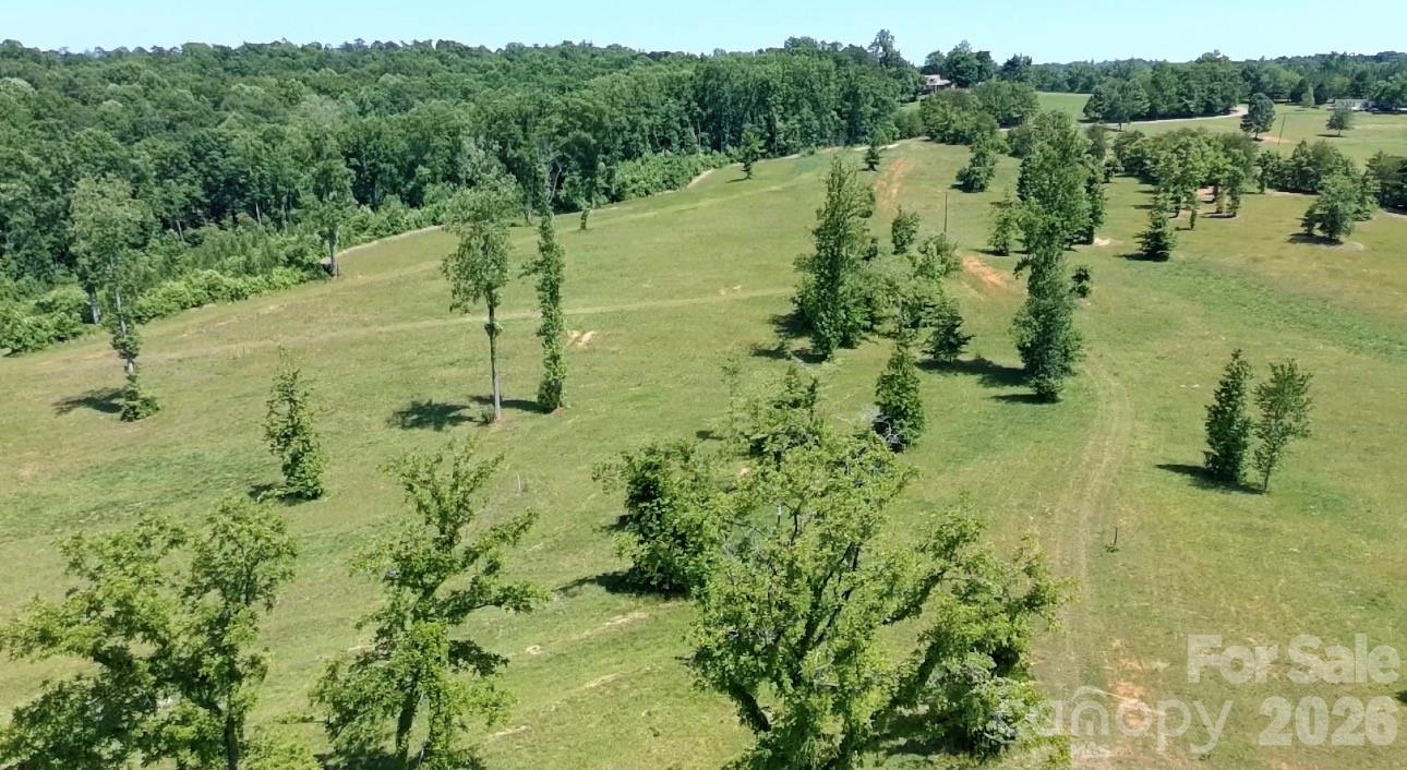 473 McEntire Road Tryon, NC 28782 - Photo 15 of 18