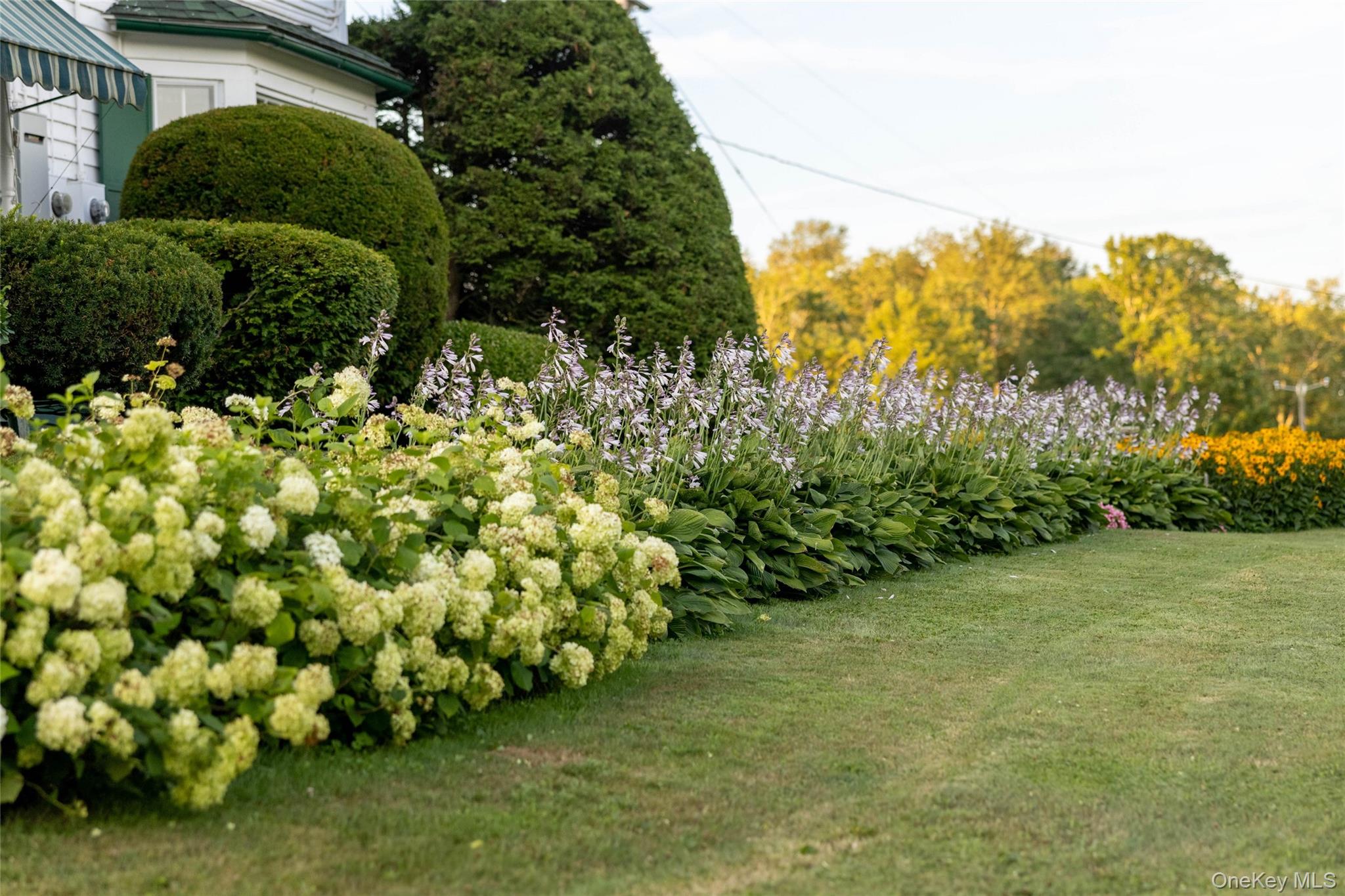 49 Crumley Van Vactor Road Ferndale, NY 12734 - Photo 25 of 50 View of grassy yard