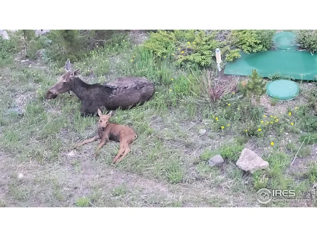 $847,000 | 557 Highpoint Circle, Black Hawk, CO 80422