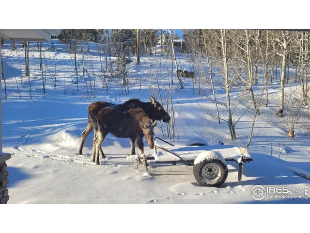 $847,000 | 557 Highpoint Circle, Black Hawk, CO 80422