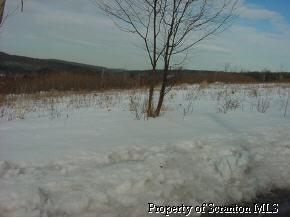 2 Kohn ( T409 ) Road Factoryville, PA 18419 - Photo 2 of 2 Additional Photo