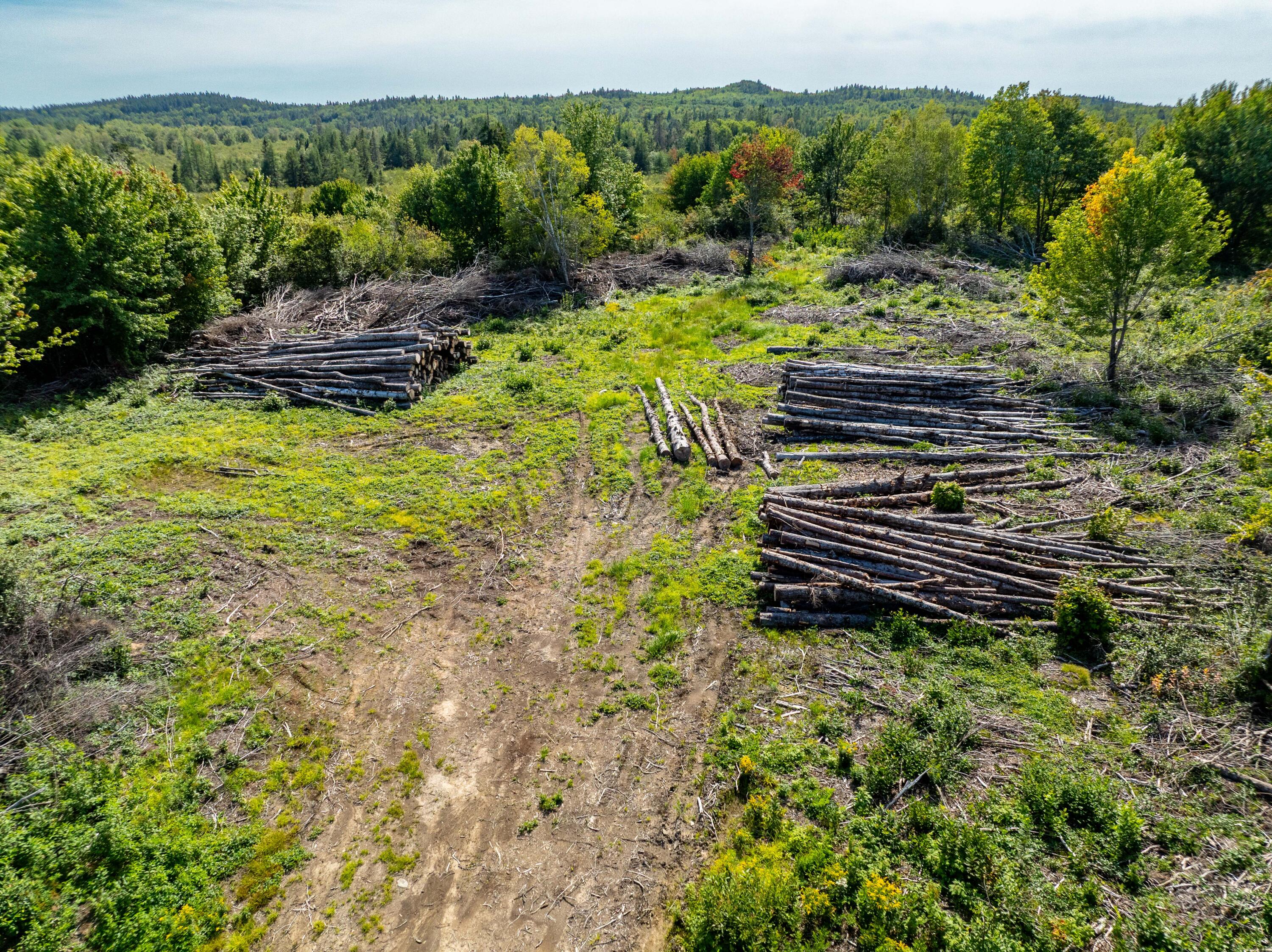2 Map Lubec, ME 04652 - Photo 23 of 79 530+- acres Trescott Twp Maine (23 of 80